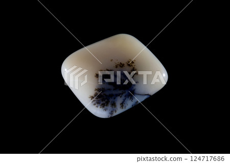 Dendritic Agate A stone that harbors landscapes 124717686