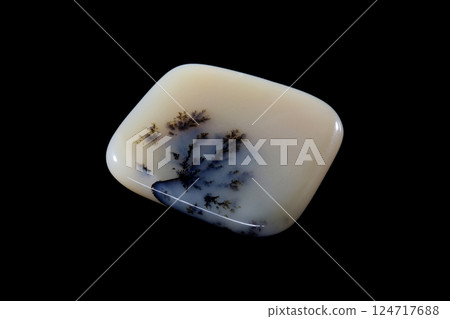 樹枝狀瑪瑙 蘊含風景的石頭 124717688