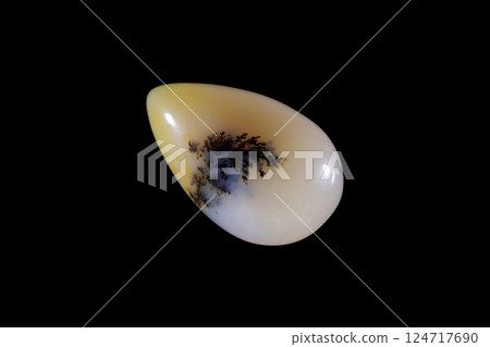 Dendritic Agate A stone that harbors landscapes 124717690