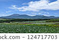 Cabbage fields and mountains 124717703