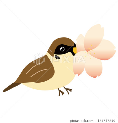 一隻麻雀叼著一朵櫻花 124717859