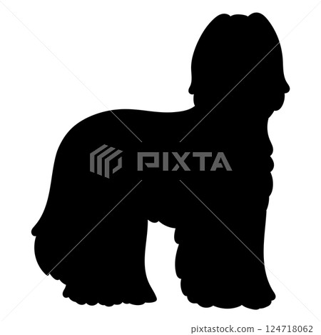 Hand drawn silhouette of an Afghan Hound 124718062
