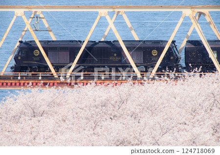 穿越櫻花盛開的大野川的巡遊列車“七星號”（JR九州） 124718069