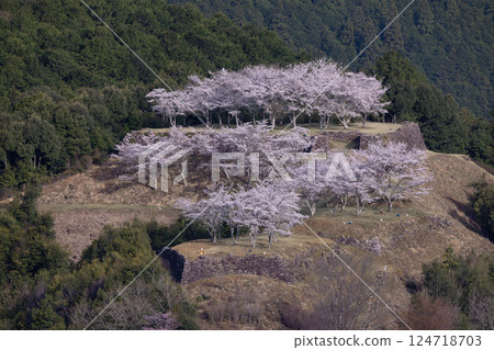 Akagi Castle Ruins of Spring Akagi Castle Ruins of Spring 124718703