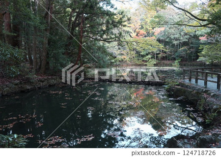 Pilgrimage to Ise, the pond at the Inner Shrine of Ise Jingu Pilgrimage to Ise, the pond at the Inner Shrine of Ise Jingu 124718726