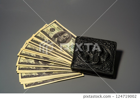 Dollars with a wallet on a black background 124719002