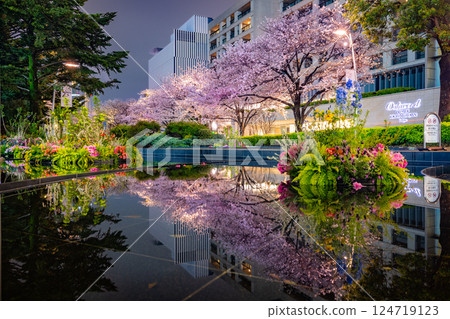Tokyo Midtown: Cherry blossoms in full bloom Tokyo Midtown: Cherry blossoms in full bloom 124719123