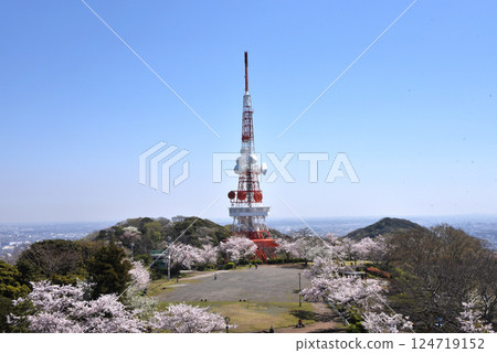 湘南平(高靈公園) 湘南平(高靈公園) 124719152