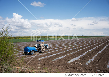 Blue tractor on the field and carries barrel for watering field. 124719242