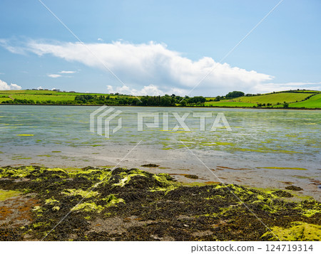 Serene coastal landscape, expansive tidal flats reflecting the sky, picturesque farmland in the distance. Tranquil and peaceful scene ideal for travel, nature, and environmental themes. 124719314