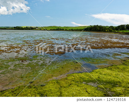 Breathtaking panoramic view of a serene estuary at low tide. Green fields and a charming farmhouse complete this idyllic coastal scene. Ideal for calendars, travel publications. Breathtaking panoramic view of a serene estuary at low tide. Green fields and a charming farmhouse complete this idyllic coastal scene. Ideal for calendars, travel publications. 124719316