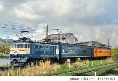 大井川鐵道ED31 124719503