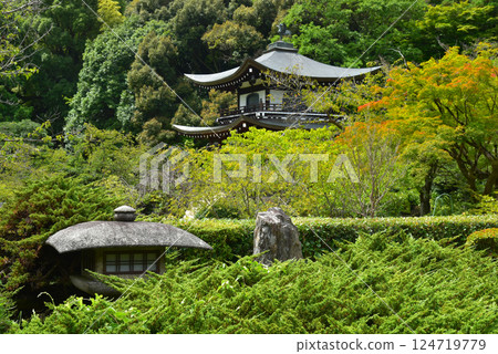 觀修寺風格的燈籠和觀音殿、觀修寺 124719779