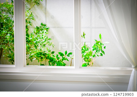 窗戶與綠植的對比 窗戶與綠植的對比 124719903