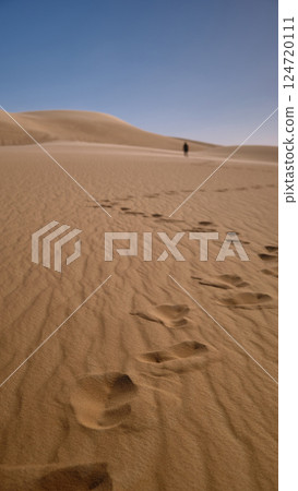 Footprints in a desert Footprints in a desert 124720111