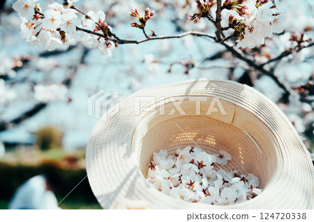 埼玉縣元荒川沿岸的美麗櫻花 埼玉縣元荒川沿岸的美麗櫻花 124720338