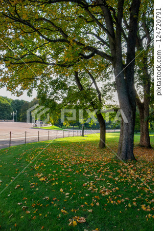 Autumn foliage around the Royal Palace in Oslo, the capital of Norway 124720791