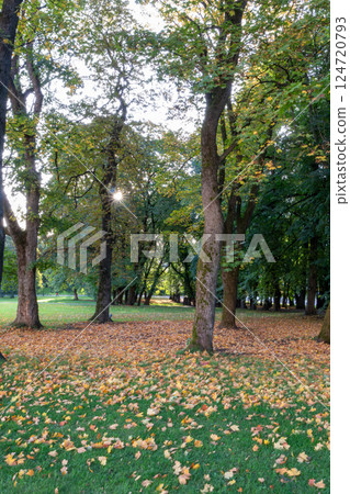 Autumn foliage around the Royal Palace in Oslo, the capital of Norway 124720793