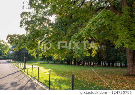 Autumn foliage around the Royal Palace in Oslo, the capital of Norway Autumn foliage around the Royal Palace in Oslo, the capital of Norway 124720795