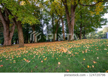 Autumn foliage around the Royal Palace in Oslo, the capital of Norway 124720796