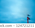 Seabirds and the sky perched on a lighthouse 124721211