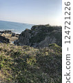 岩石和草原的海岸風光 - 海岸沿線美麗的自然景觀 124721226