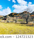 秋天的鄉村與藍天：大自然環繞的寧靜景觀 124721323