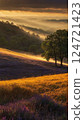 Prairie and tree 124721423