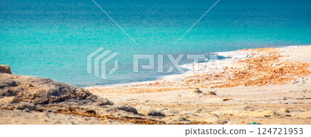 View of Dead Sea coastline, Jordan 124721953