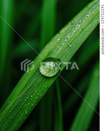 close up of fresh green leaf with water droplet, symbolizing sustainability and inclusion in nature, reflecting ESG principles 124722241