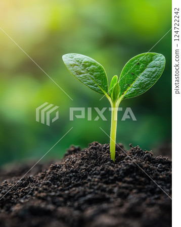 young green seedling growing in fertile soil, symbolizing sustainability, growth, and inclusion under ESG policy framework 124722242