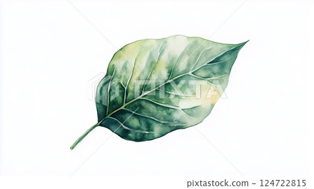 Watercolor illustration background of leaves 124722815