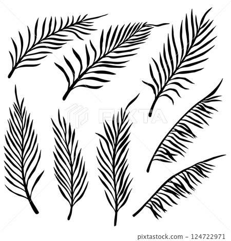 Set of palm leaves. Design element for decorations. Vector illustration 124722971