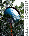 mirror 124723117