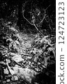 Animal trail 124723123