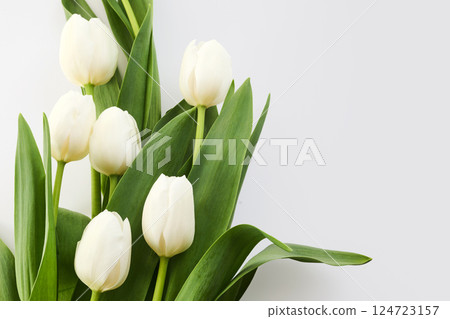 White Tulips. A bouquet of elegant white tulips with lush green leaves 124723157