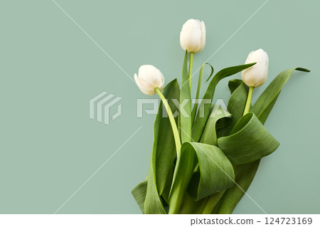 White Tulips on Green background White Tulips on Green background 124723169