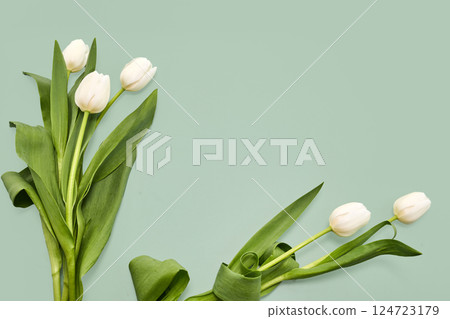 White Tulips on Green background 124723179