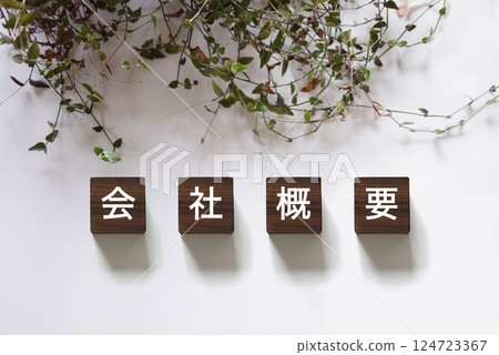 公司簡介 - 橫向 124723367