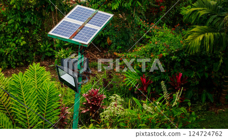 A solar panel powering an outdoor light amidst lush tropical garden, showing the sustainable and renewable energy technology being used in daily life 124724762