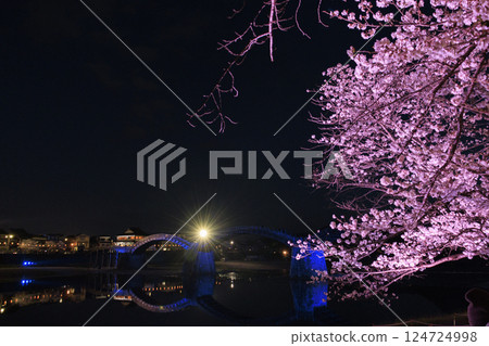 Kintai Bridge: Illuminated cherry blossoms at night Kintai Bridge: Illuminated cherry blossoms at night 124724998