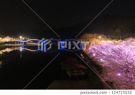 Kintai Bridge: Illuminated cherry blossoms at night Kintai Bridge: Illuminated cherry blossoms at night 124725038