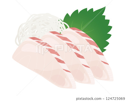 Sea bream sashimi illustration material Sea bream sashimi illustration material 124725069