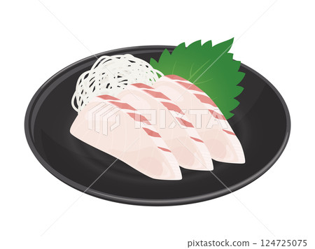 Illustration material of sea bream sashimi served on a plate Illustration material of sea bream sashimi served on a plate 124725075