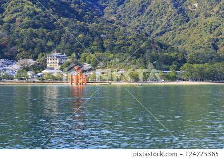 Miyajima and Itsukushima Shrine in full bloom Miyajima and Itsukushima Shrine in full bloom 124725365