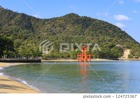宮島和嚴島神社盛開 宮島和嚴島神社盛開 124725367