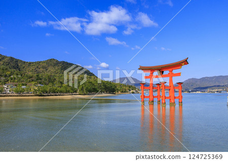 宮島和嚴島神社盛開 124725369