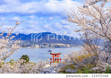 Miyajima and Itsukushima Shrine in full bloom 124725388