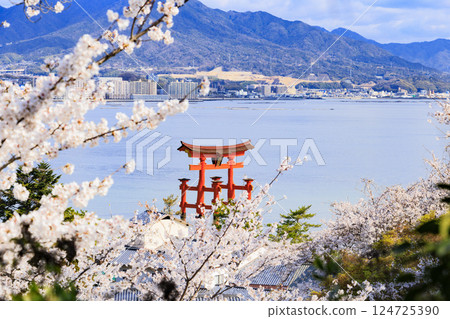 Miyajima and Itsukushima Shrine in full bloom 124725390