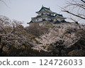 Castle tower decorated with cherry blossoms 124726033